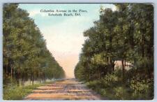 1910-20's REHOBOTH BEACH DELAWARE COLUMBIA AVENUE IN THE PINES HORN'S POSTCARD picture