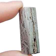 13.9g Iron meteorite, Muonionalusta iron meteorite slice Natural Meteorite QC230 picture