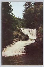 Winona Falls In The Beautiful Pocono Mountains Of Pennsylvania Postcard 2953 picture