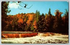 Postcard MI Lower Tahquamenon Falls River Whitefish Bay Upper Peninsula, Mich. picture