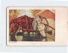 Postcard Bill & Jerry Horses picture
