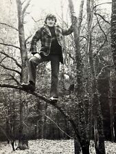 1970s Fashionable Young Man Romantic Guy Climbed tree Gay int Vintage Photo picture