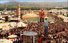 THE LAST  GREAT  DANBURY FAIR  FROM 1981 DVD picture