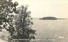 Paynesville Minnesota~Real Photo Postcard: Island @ Middle of Lake Koronis 1940s picture