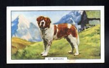 ST. BERNARD 1934 GALLAHER LTD. DOGS #32 VG-EX NO CREASES picture
