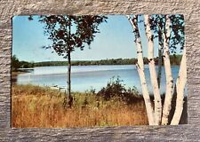 VTG Chrome c. 1962 Lake With Pier And Rowboat With White Birch Trees Minnesota picture