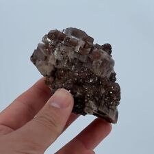 Fantastic Lustrous Calcite Crystals (2 Generations) - Santa Eulalia, Mexico picture