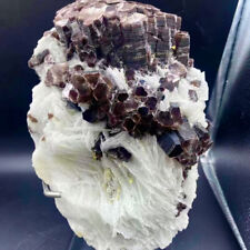 5.39LB Natural Lepidolite Lithium Green Mica Quartz Cluster Mineral Specimen picture