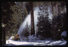 Orig 1964 SLIDE Scene with Truck Plowing Snow in Yosemite National Park CA (C) picture