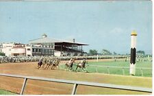 Vintage Postcard, Charles Town Race Track, Charles Town, West Virginia, PM 1959 picture