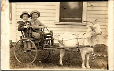 Goat Cart with two smiling boys in hats wooden cart 1910 era RPPC RR1 picture