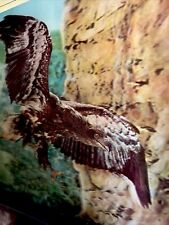 Vintage 3D TOPPAN Japan Lenticular ,  Mountain Hawk , 10.5x13.5” New Sealed picture
