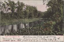 River Scene Near Portage, Wisconsin Postcard, Kilbourn 1906 PM picture