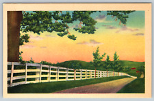c1950s White Picket Fence Street Scene View Sunrise Vintage Linen Postcard picture