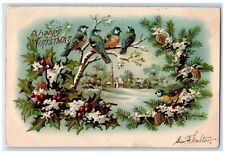 1906 Christmas Song Birds On Top Of Tree Pine Cone Berries Winter Postcard picture