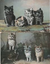 Outstanding group of beautiful kittens u1910 Postcards (2) Tucks picture