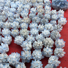 New Find Blue Phantom Quartz Crystal Cluster Mineral Specimen Healing lab grown picture