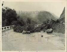 1937 Press Photo Fallen Tree Blocks Road in Topanga Canyon After Storm picture