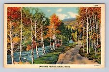 Fryeburg ME-Maine, General Greetings, Country Road, Vintage c1942 Postcard picture