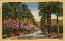 California ~ Palm Lined Avenue ~ Orange Grove ~ lined postcard mailed 1947 picture