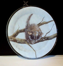 Australian Sugar Glider (Possum) Collector's Plate picture