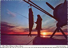 Arctic Alaska Float Plane Fishing By Midnight Sun Sheefish Catch Whitefish Nelma picture