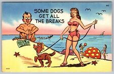 Tichnor Bros Humor Comic -Some Dogs Get all the Breaks - Linen Postcard picture