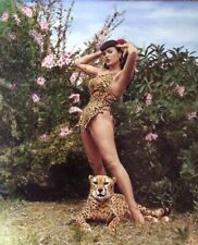 Bettie Page 8x10  Photo picture