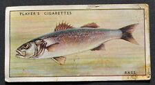 1935 John Players Cigarette Card Fresh-Water Fishes No. 2 Bass or Sea-Perch picture