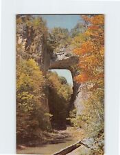 Postcard Natural Bridge Virginia USA picture