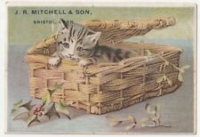 1880s Cute Kitten In Basket / Clothing Store Bristol CT Victorian Trade Card picture