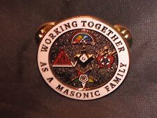 Masonic Family Lapel Tac Pin Demolay Rainbow Girls OES Job's Daughters NEW picture