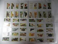 Neilsons Trade Cards Interesting Animals 1954 Complete Set 50 in Pages picture