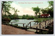 c1908~Starr Island Park~Bridge & Pond~Williamsport PA~Antique Postcard picture
