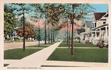 KANKAKEE IL ILLINOIS LOVELY HOMES ON GREENWOOD AVE VINTAGE POSTCARD c1910 050924 picture