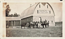 Inwood Iowa~L H Knudson Alfalfa Stock Farm-family & horses~1919 Photograph 10B picture