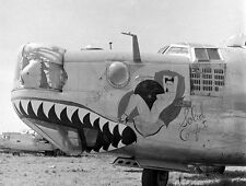 Nose art Consolidated B-24 Liberator Solid Comfort 5
