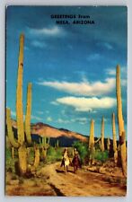 Greetings From Mesa Arizona Vintage Postcard Posted 1953 Riders On The Desert picture