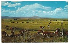 Nevada, Fertile Ranching Land, Old West Modern Splendor, c1950's Unused Postcard picture