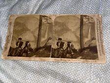 Antique STEREOVIEW Card: CLIMBING MOUNTAIN PATHS YOSEMITE VALLEY CALIFORNIA picture