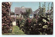Old Fashioned Garden Provincetown Mass Beautiful Flowers Backyard Ga Postcard E8 picture