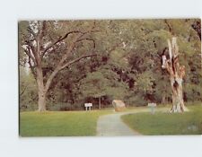 Postcard Hanging Tree George Washington Carver National Monument Missouri USA picture