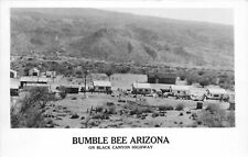 Postcard RPPC 1950s Arizona Bumble Bee Black Canyon Highway AZ24-2125 picture