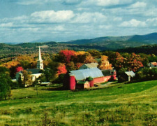 Vintage Postcard - Autumn Fall Foliage Rolling Hills Of Vermont Peachman Un-Post picture