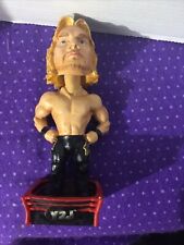 2002 RUMBLE HEADS WWE Y2J CHRIS JERICHO BOBBLEHEAD - Good Condition picture