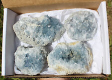 Bulk LARGE Natural Celestite Crystal Cluster Geode 2lb - 3lb (4-5 Piece Box Lot) picture