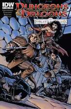 Dungeons And Dragons: Forgotten Realms #1B VF; IDW | we combine shipping picture