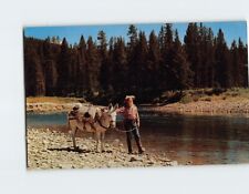 Postcard Buy Two - Keep One Western Prospector Bad Water Bill Gravel Gertie picture