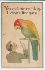 Vtg 1916 Patriotic Post Card Free Speech Anti-Censorship Parrot Scolding Man picture