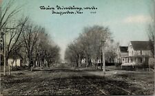 Augusta Illinois~Trolley Tracks Along Dirt Main St~Homes~c1910 C U Williams Blue picture